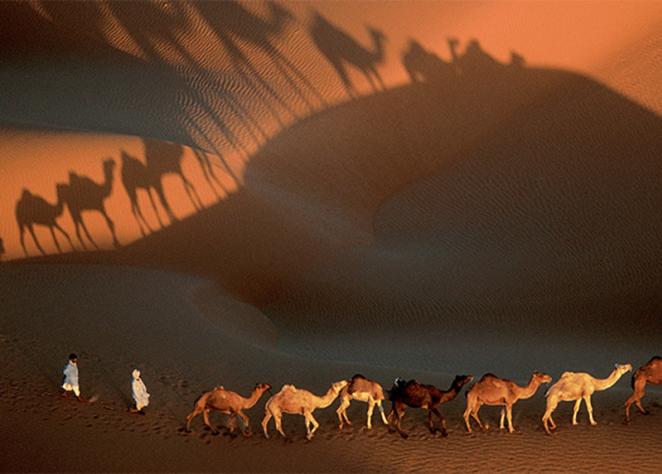 Yann Arthus-Bertrand