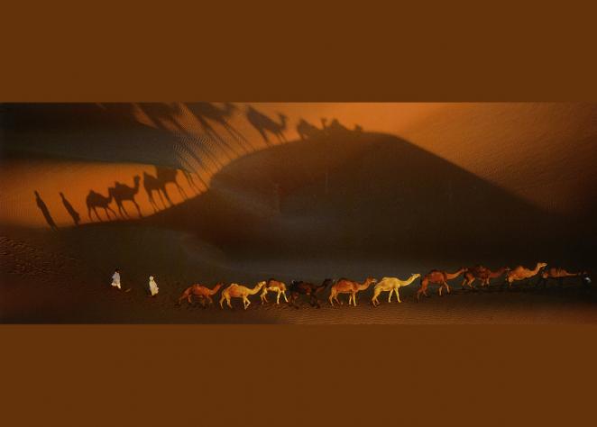 © Yann ARTHUS-BERTRAND, Caravane de dromadaires aux environs de Nouakchott, Mauritanie, 1997, collection Métropole Toulon Provence Méditerranée
