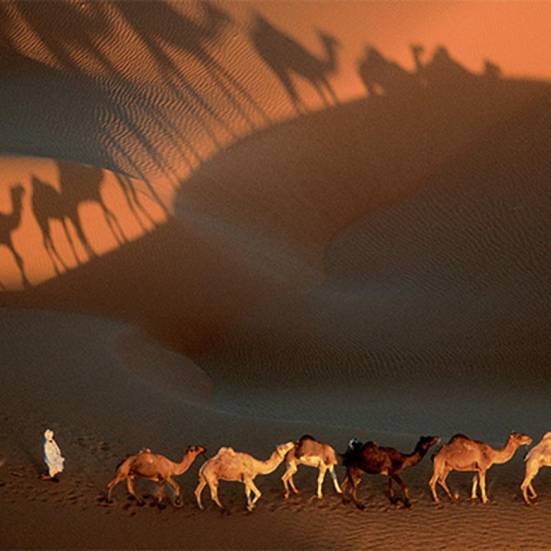 Yann Arthus-Bertrand