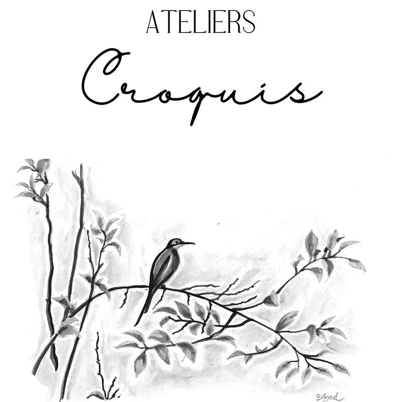 croquis
