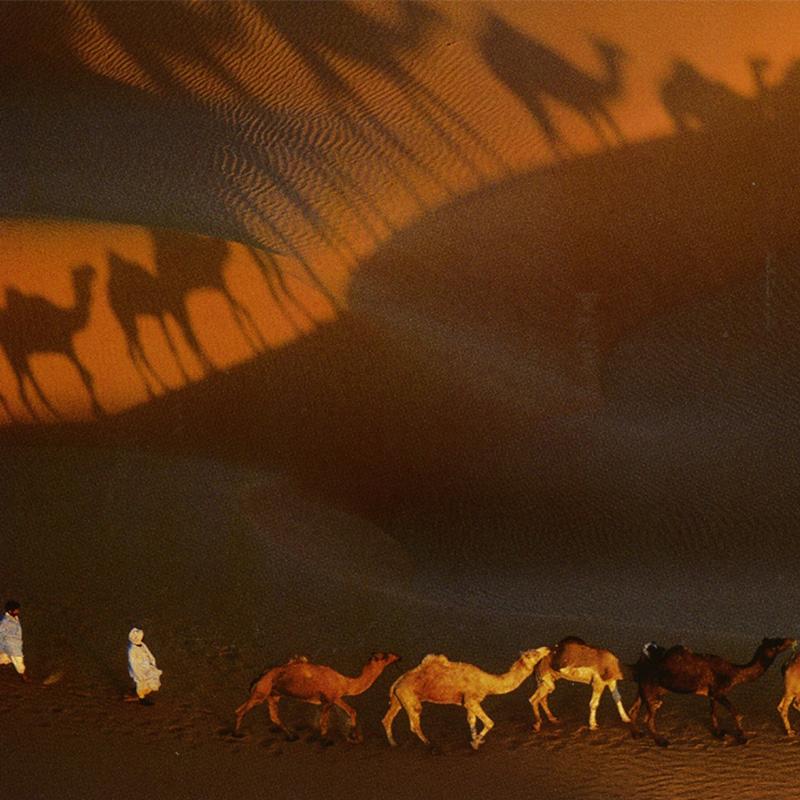 © Yann ARTHUS-BERTRAND, Caravane de dromadaires aux environs de Nouakchott, Mauritanie, 1997, collection Métropole Toulon Provence Méditerranée
