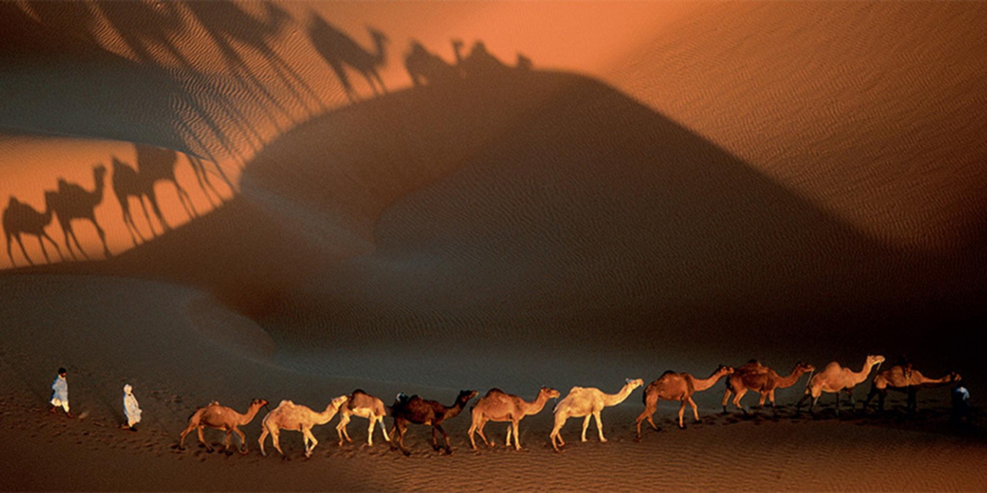 Yann Arthus-Bertrand