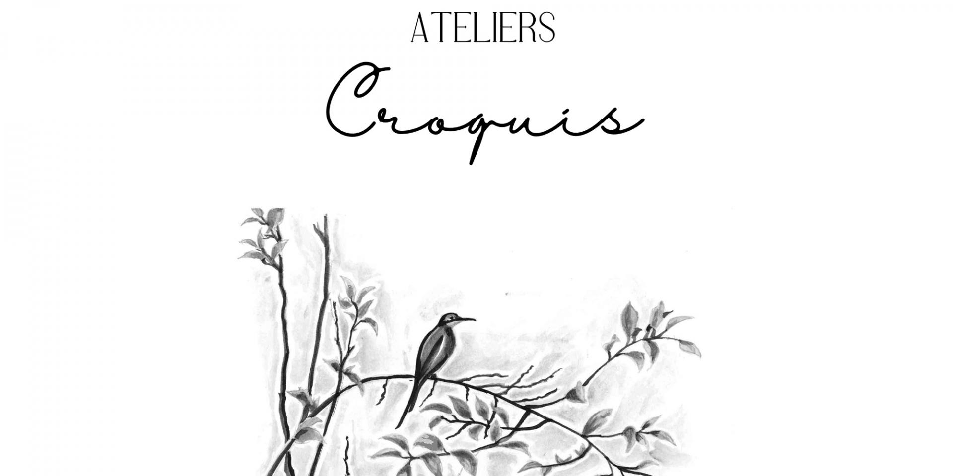 croquis