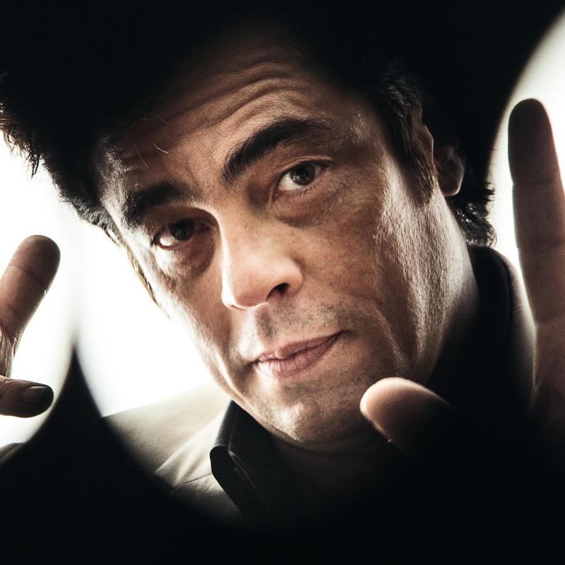 Benicio del toro, 2013 